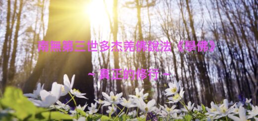 南無第三世多杰羌佛說法 《學佛》 ~ 真正的修行 ~